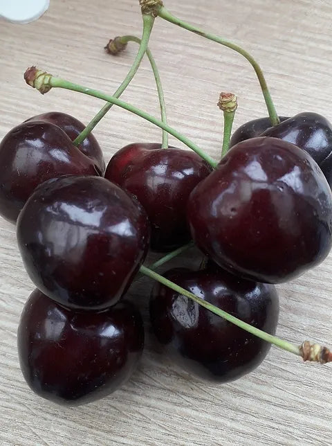 Cires soiul Merchant ( fructificare in luna mai )