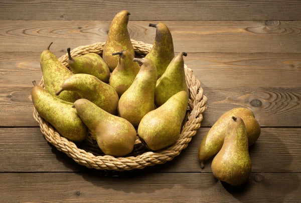 Par soiul Abate Fetel - ( Pomi standard ramificatii cresteri libere )