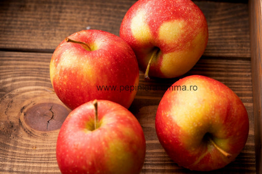 Mar soiul Pinova - ( Pomi standard ramificatii cresteri libere )