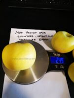 Mar soiul Golden Spur - ( Pomi standard ramificatii cresteri libere ) - imagine 2